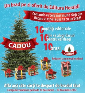 un brad pe zi