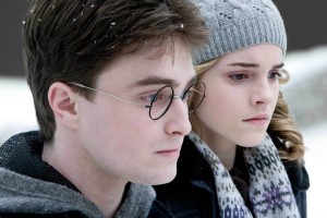 harry potter and hermione
