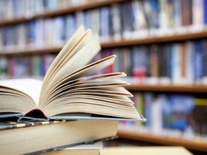 Literatura
