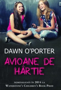 avioane-de-hartiee