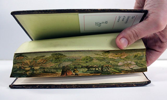 fore-edge-paintings-gif